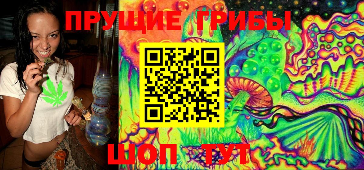 Галлюциногенные грибы Magic Shrooms Прохладный